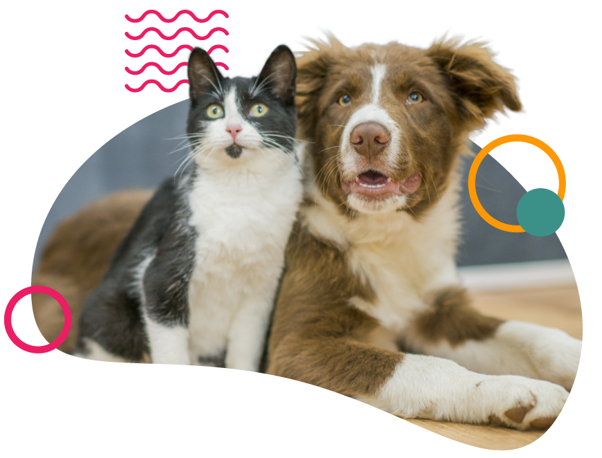 Polivet Pet Center